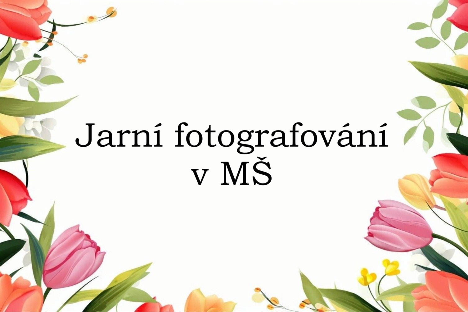 Jarní fotografování v MŠ